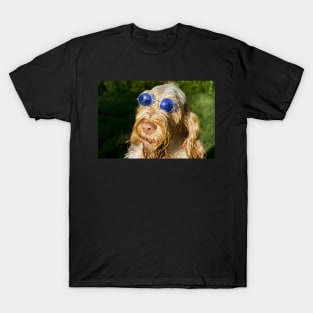 Blue Glasses Spinone T-Shirt